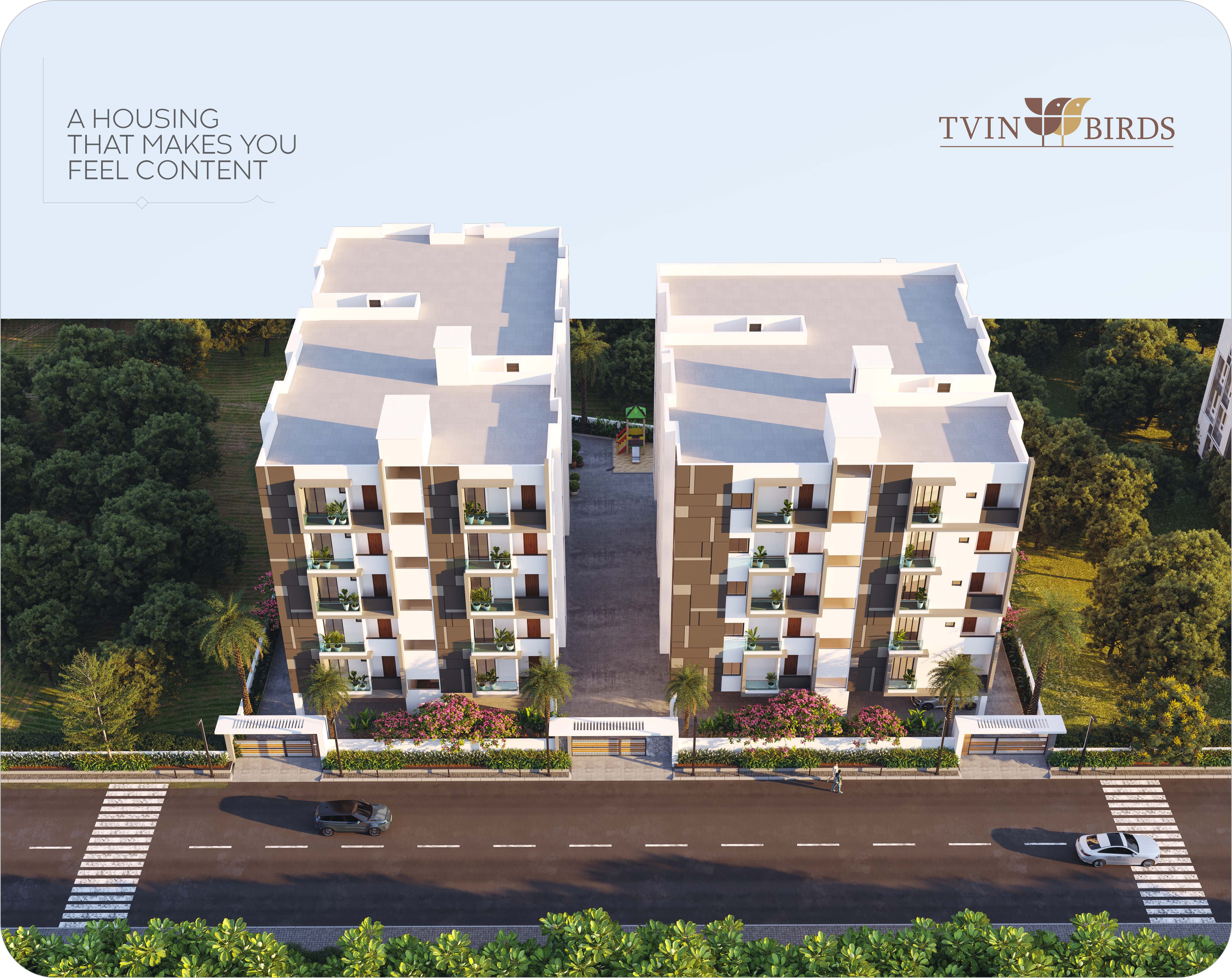 Twin Birds — Patancheru