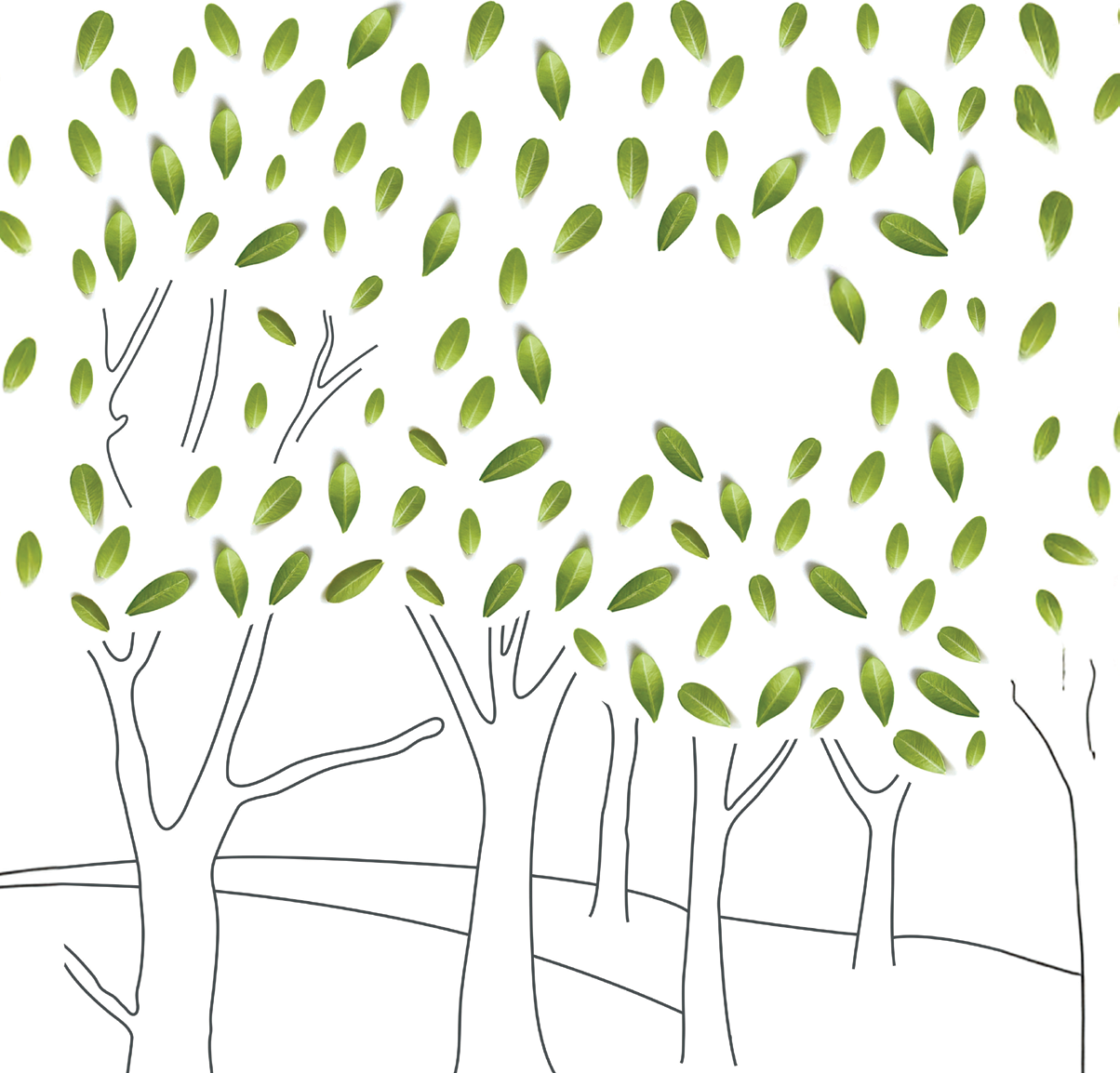 Ark Kushak — Uppal, Hyderabad
