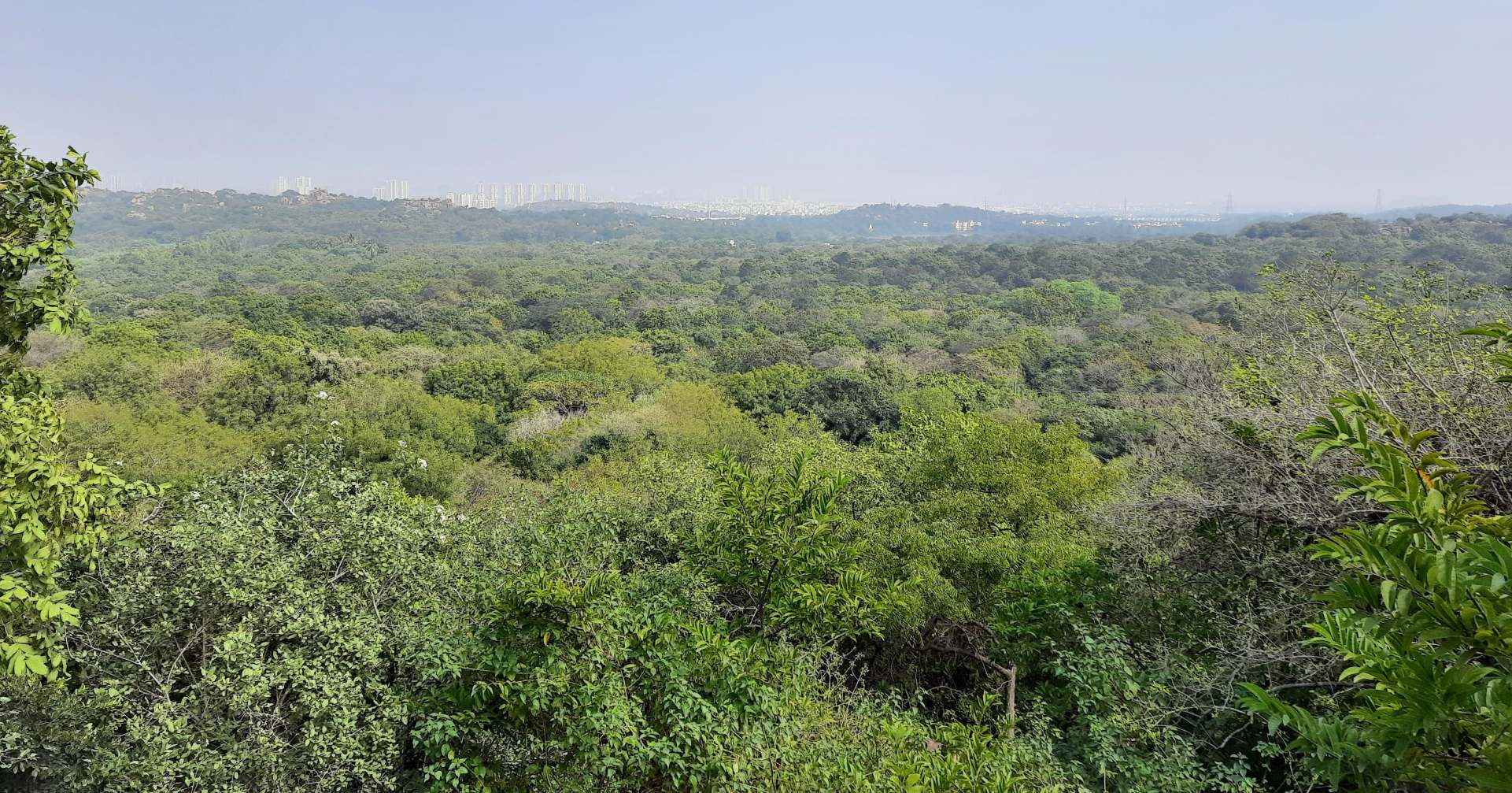 Aria — Nagole, Hyderabad