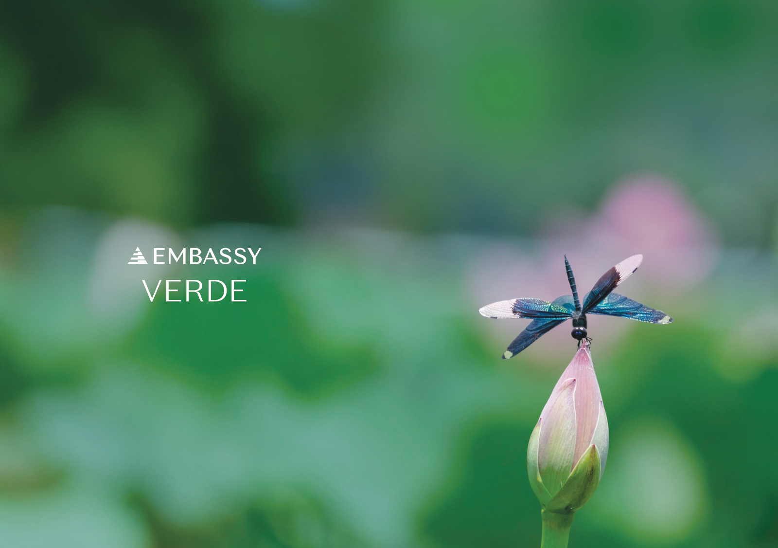 EMBASSY VERDE PHASE 2 — Navarathna Agrahara, Bangalore — photo 1
