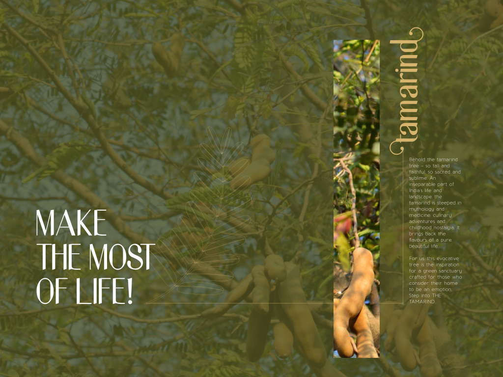 The Tamarind in Neknampur, Hyderabad