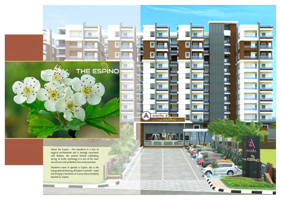 The Espino, Miyapur, Hyderabad, photo 2